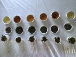 members products-min